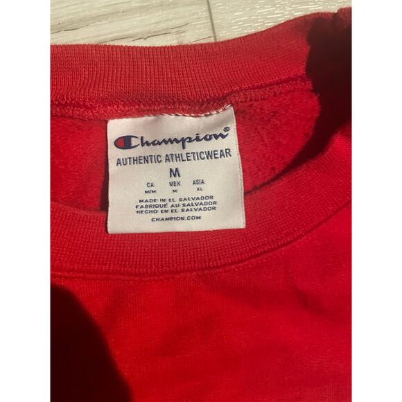 Champion Rhodes Collage Red M sweater - Picture 1 of 2